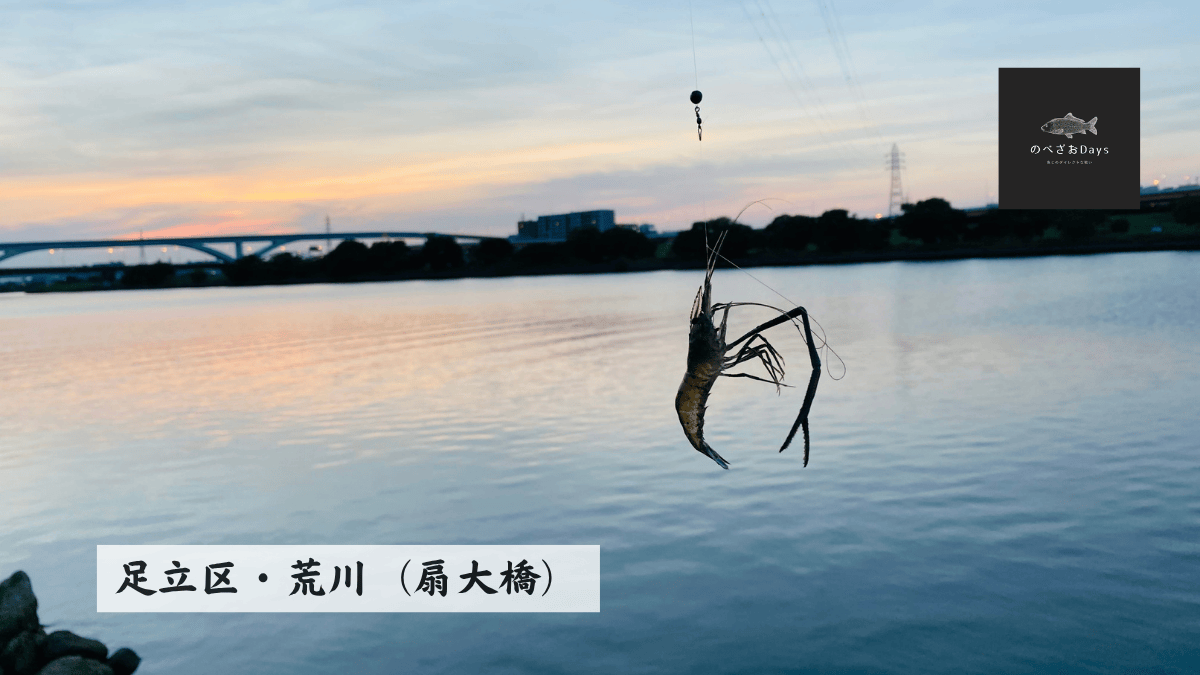 2021年6月 荒川（扇大橋）でテナガエビを釣る