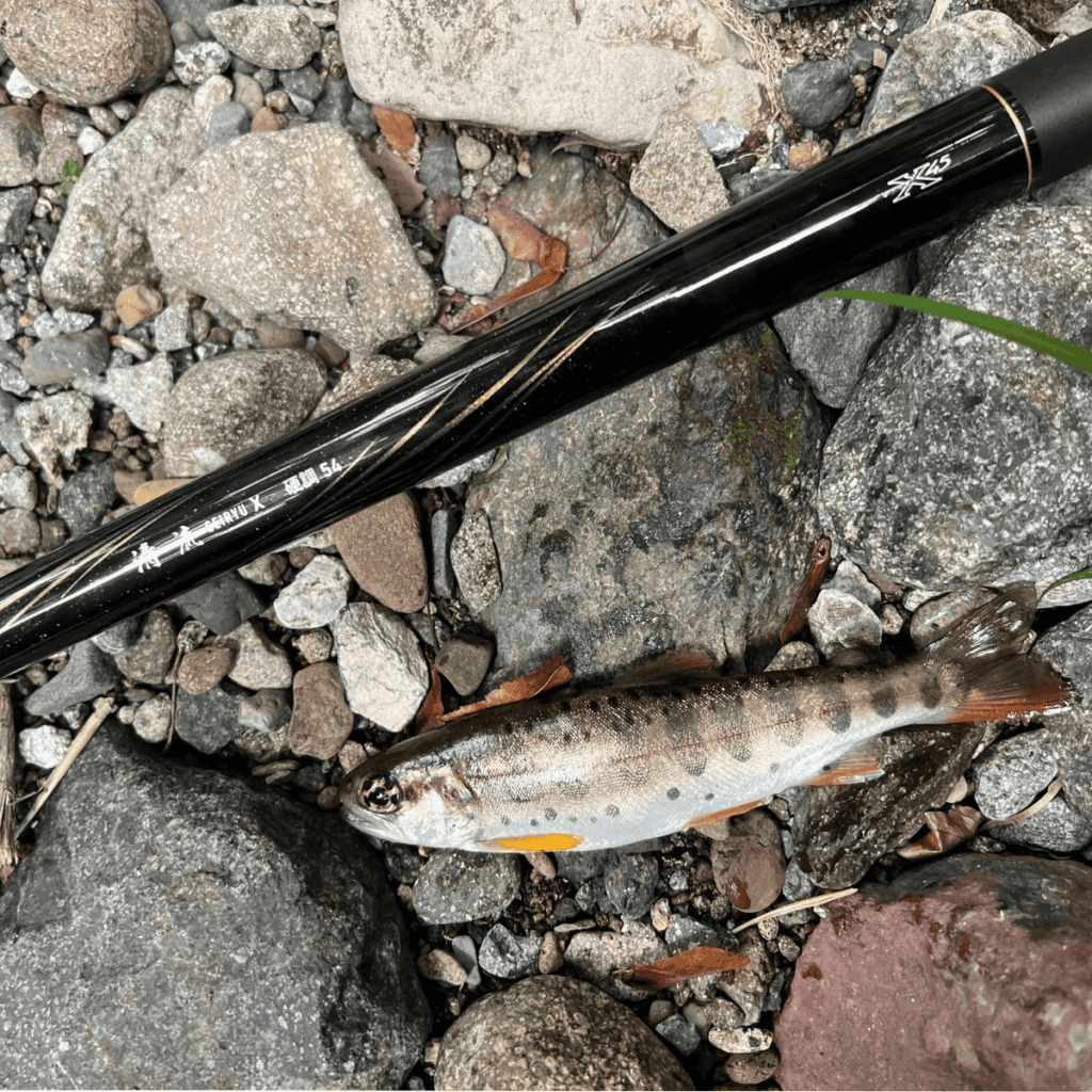 渓流でDAIWA 清流Xを使用。引きがたまらない。