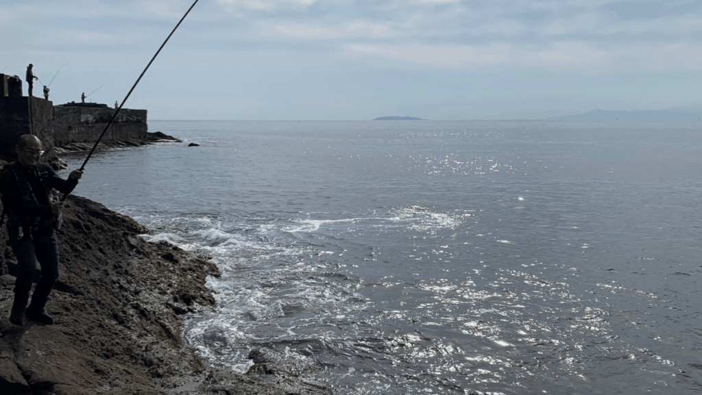真鶴でカワハギ釣り