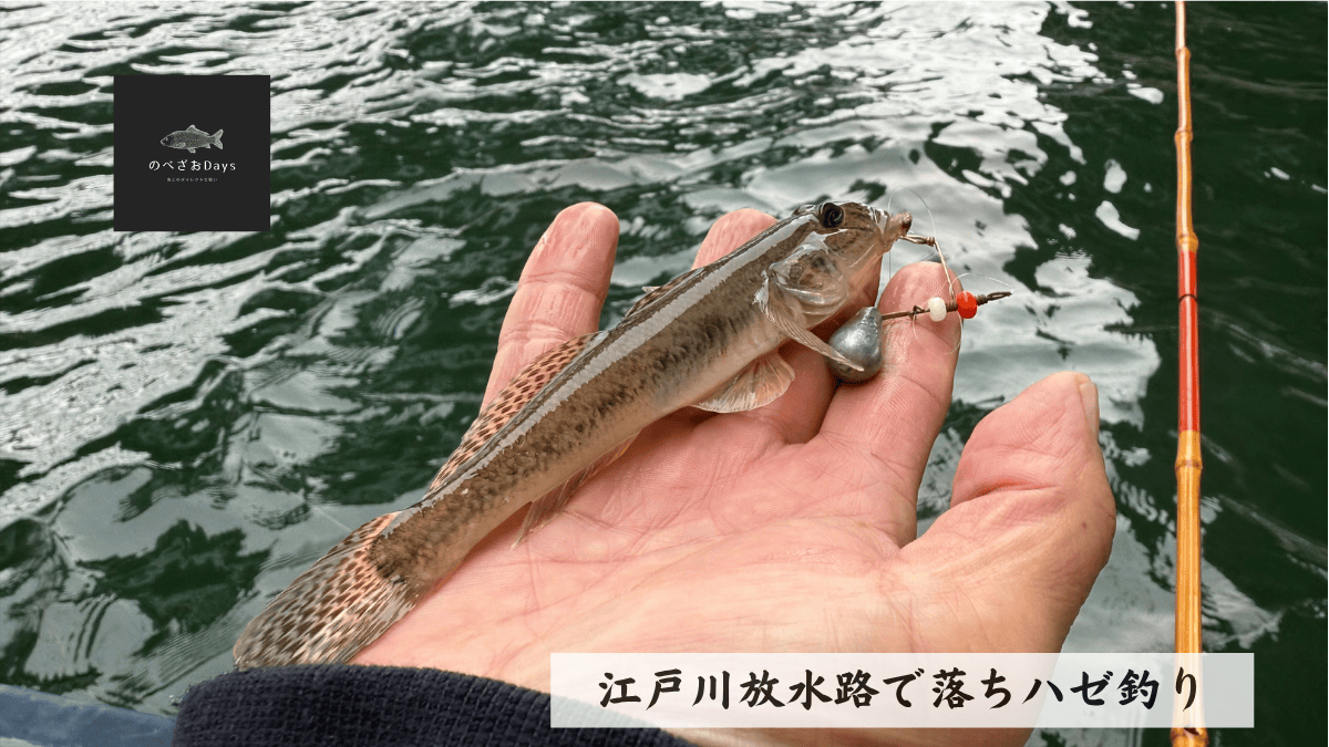 江戸川放水路で落ちハゼ釣り