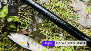 DAIWA 清流Ｘ 硬調54