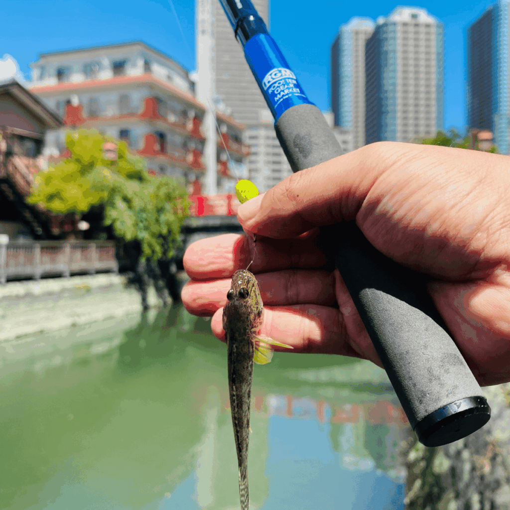 RGM spec.1 300でハゼ釣り