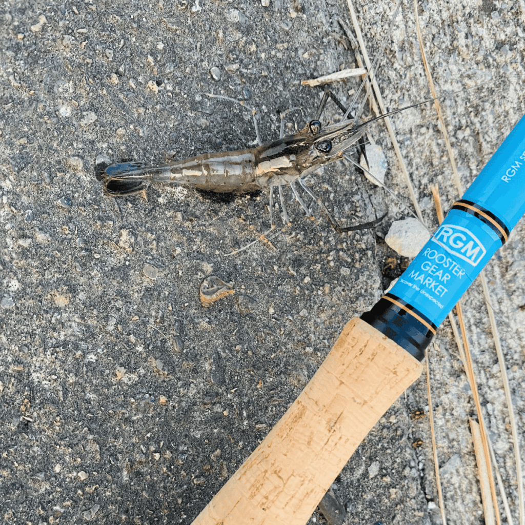 rgm-spec3-180_手長エビ3