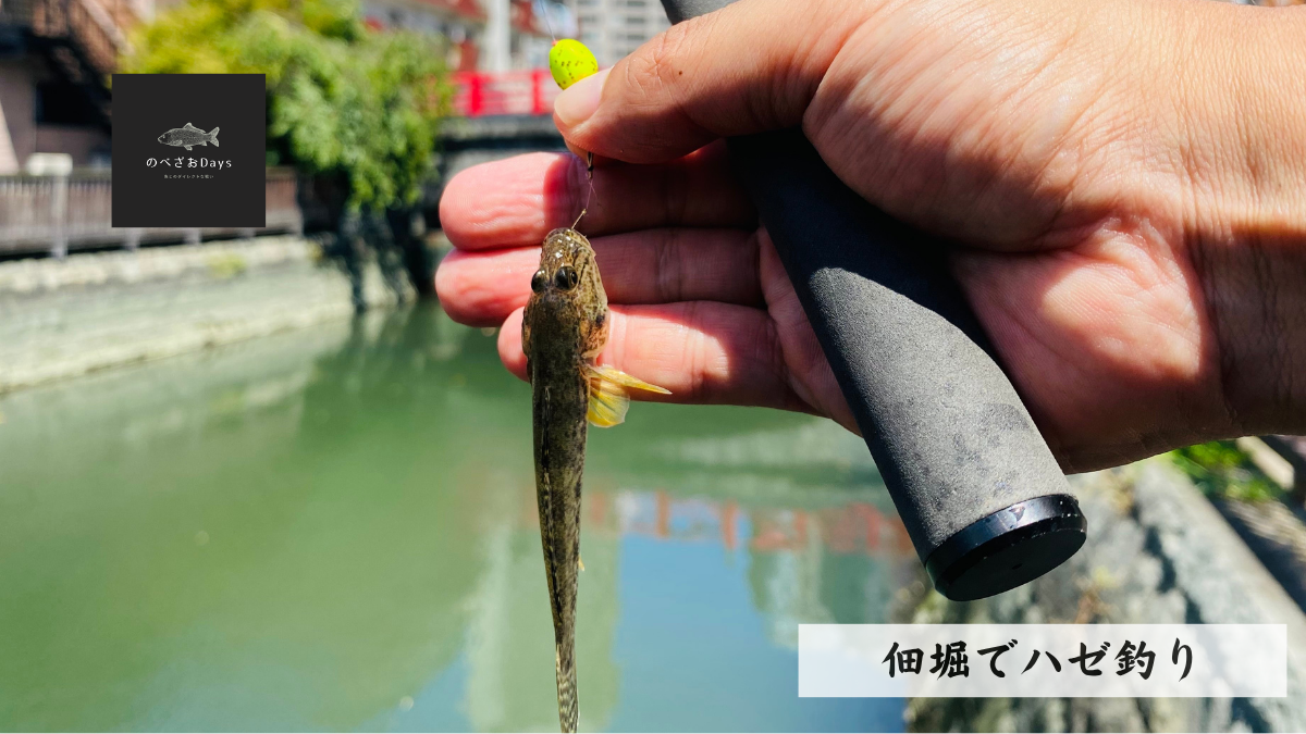 ブロンプトンに乗って、佃堀でハゼ釣り