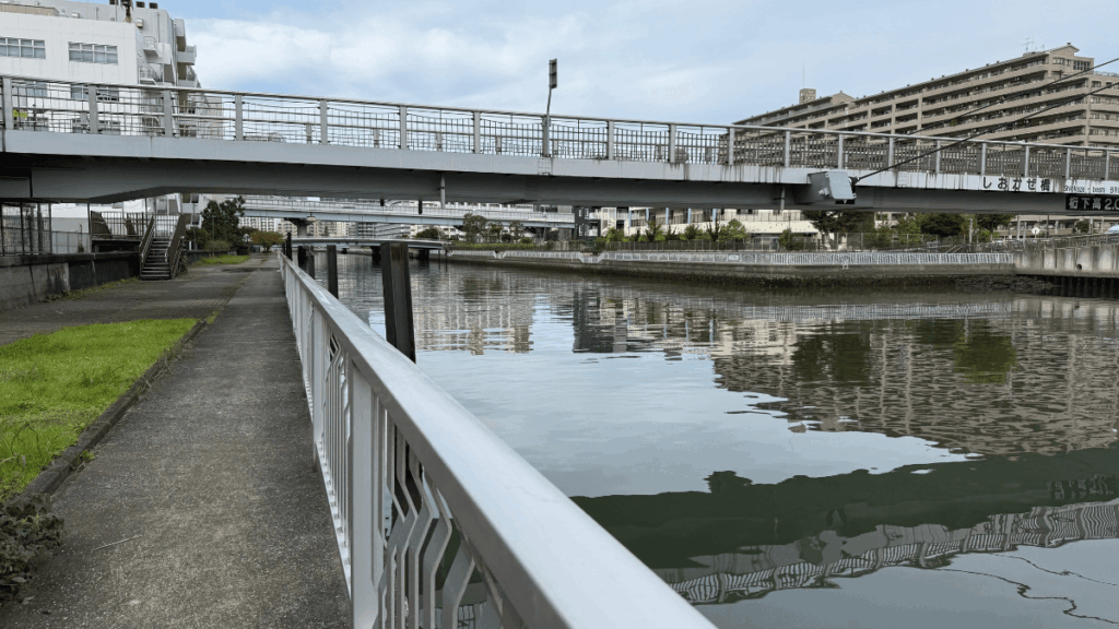 汐見運河は、遊歩道を歩きながら探り釣りをしよう。